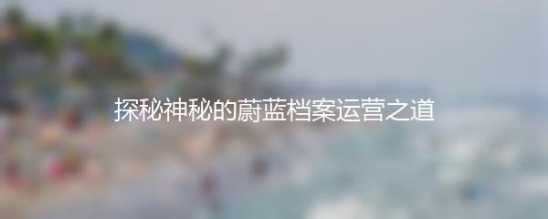 探秘神秘的蔚蓝档案运营之道