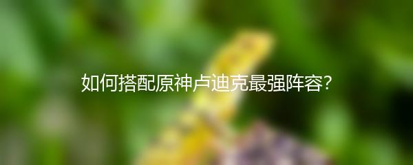 如何搭配原神卢迪克最强阵容？