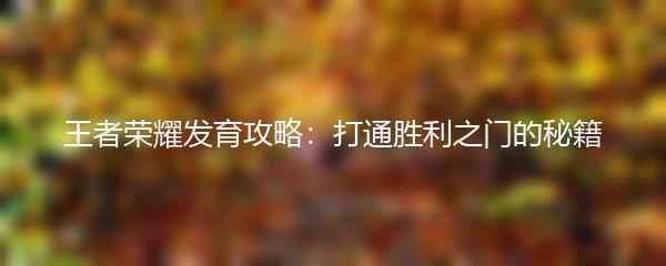 王者荣耀发育攻略：打通胜利之门的秘籍