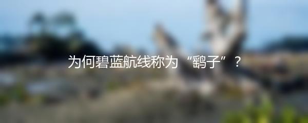为何碧蓝航线称为“鹞子”？