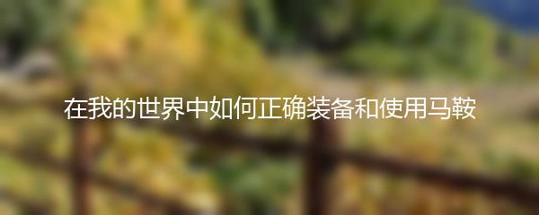 在我的世界中如何正确装备和使用马鞍