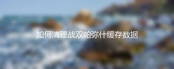 如何清理战双帕弥什缓存数据