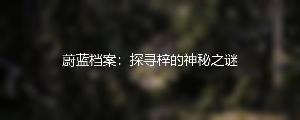 蔚蓝档案：探寻梓的神秘之谜