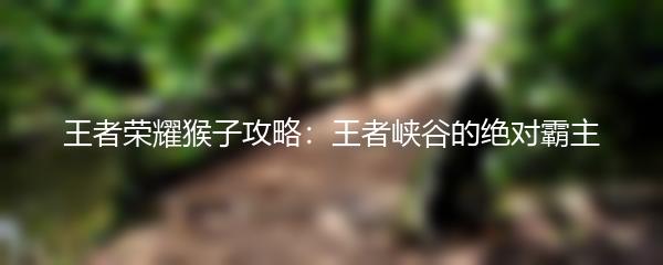 王者荣耀猴子攻略：王者峡谷的绝对霸主