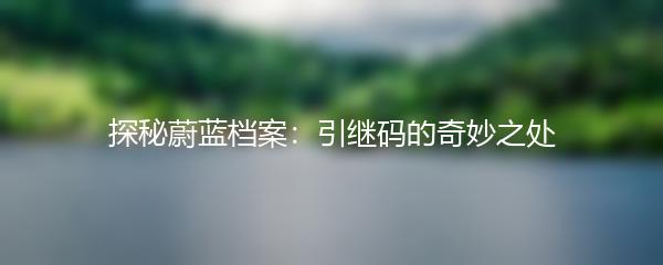 探秘蔚蓝档案：引继码的奇妙之处