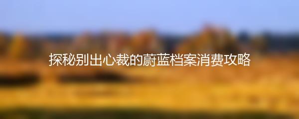 探秘别出心裁的蔚蓝档案消费攻略