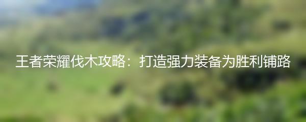 王者荣耀伐木攻略：打造强力装备为胜利铺路