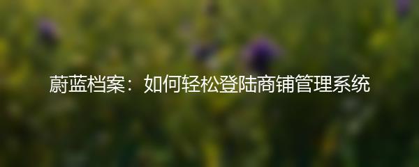 蔚蓝档案：如何轻松登陆商铺管理系统