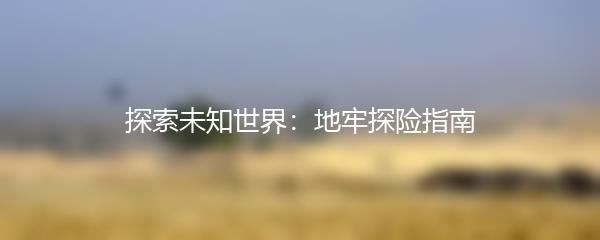 探索未知世界：地牢探险指南