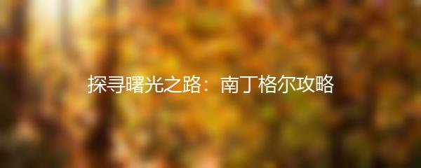 探寻曙光之路：南丁格尔攻略