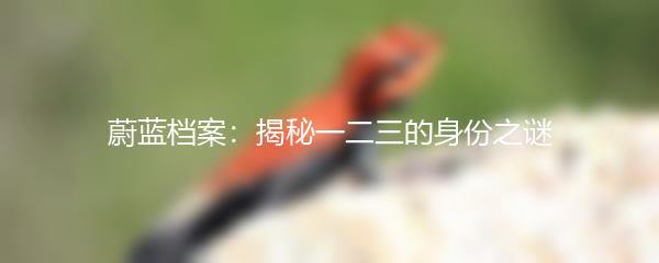 蔚蓝档案：揭秘一二三的身份之谜