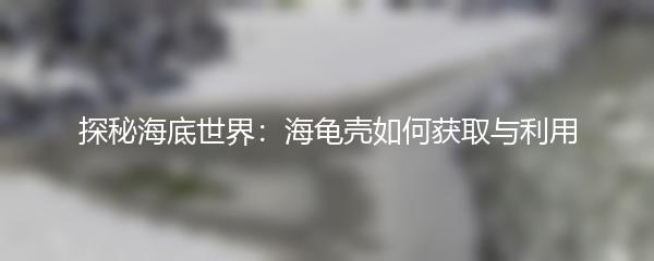 探秘海底世界：海龟壳如何获取与利用