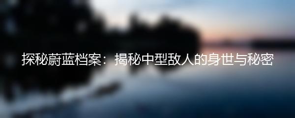 探秘蔚蓝档案：揭秘中型敌人的身世与秘密