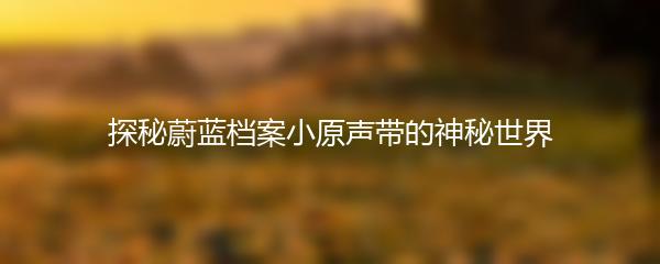 探秘蔚蓝档案小原声带的神秘世界
