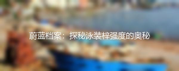 蔚蓝档案：探秘泳装梓强度的奥秘