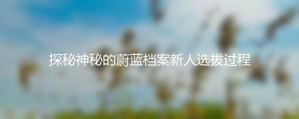 探秘神秘的蔚蓝档案新人选拔过程