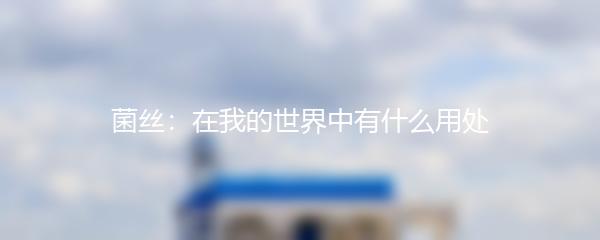 菌丝：在我的世界中有什么用处