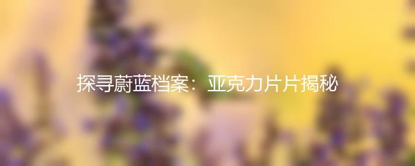 探寻蔚蓝档案：亚克力片片揭秘