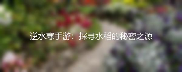 逆水寒手游：探寻水稻的秘密之源
