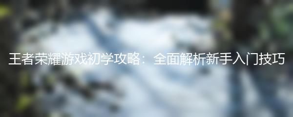 王者荣耀游戏初学攻略：全面解析新手入门技巧