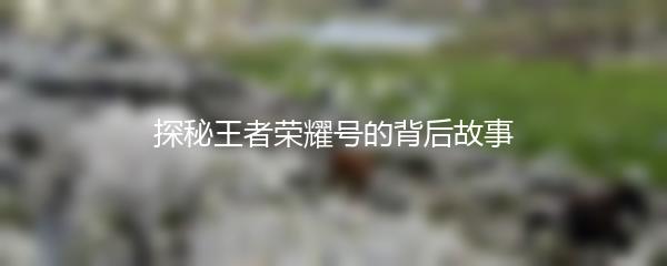 探秘王者荣耀号的背后故事