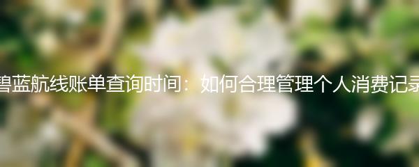 碧蓝航线账单查询时间：如何合理管理个人消费记录