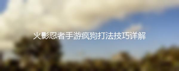 火影忍者手游疯狗打法技巧详解