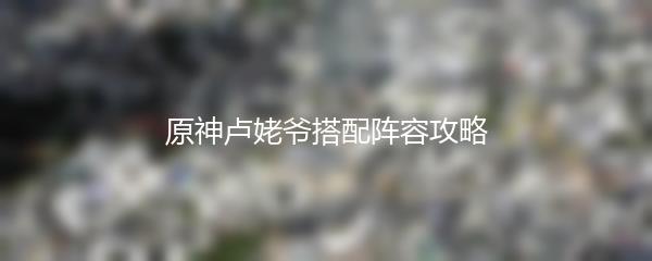 原神卢姥爷搭配阵容攻略