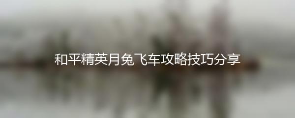 和平精英月兔飞车攻略技巧分享