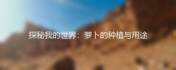 探秘我的世界：萝卜的种植与用途