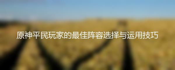 原神平民玩家的最佳阵容选择与运用技巧