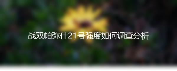 战双帕弥什21号强度如何调查分析