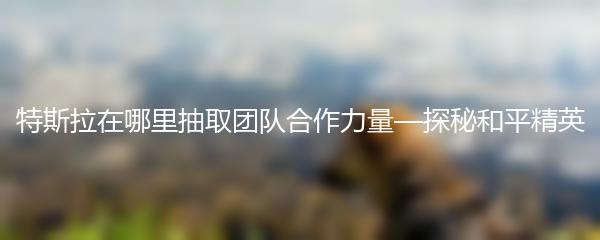 特斯拉在哪里抽取团队合作力量—探秘和平精英