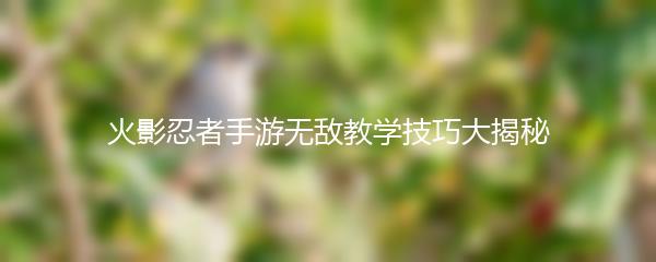 火影忍者手游无敌教学技巧大揭秘