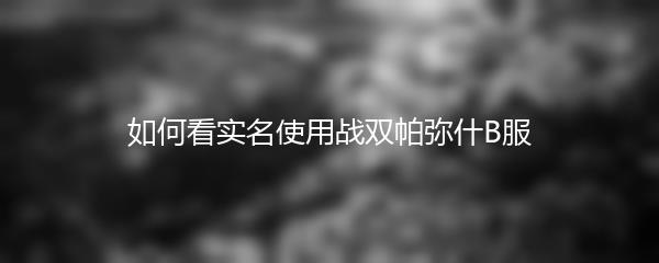 如何看实名使用战双帕弥什B服