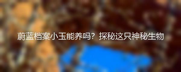 蔚蓝档案小玉能养吗？探秘这只神秘生物