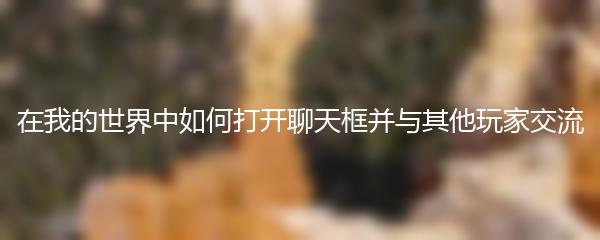 在我的世界中如何打开聊天框并与其他玩家交流