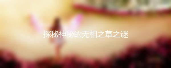 探秘神秘的无相之草之谜