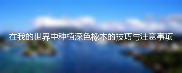 在我的世界中种植深色橡木的技巧与注意事项