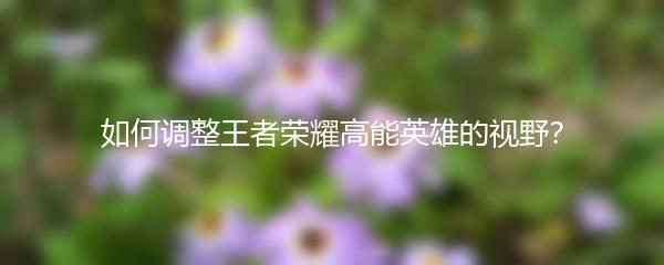 如何调整王者荣耀高能英雄的视野？