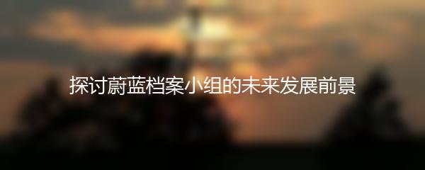 探讨蔚蓝档案小组的未来发展前景