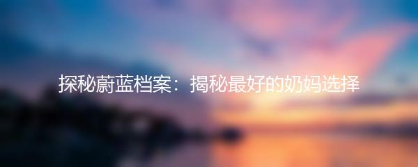探秘蔚蓝档案：揭秘最好的奶妈选择