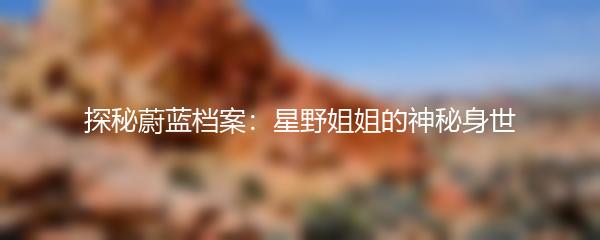 探秘蔚蓝档案：星野姐姐的神秘身世