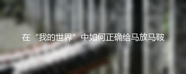 在“我的世界”中如何正确给马放马鞍