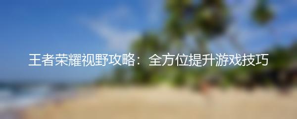 王者荣耀视野攻略：全方位提升游戏技巧
