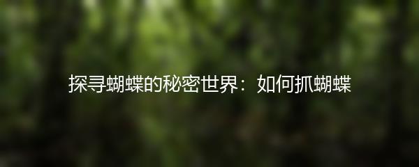 探寻蝴蝶的秘密世界：如何抓蝴蝶