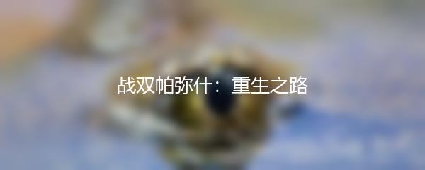 战双帕弥什：重生之路