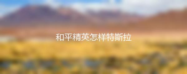 和平精英怎样特斯拉