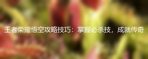 王者荣耀悟空攻略技巧：掌握必杀技，成就传奇