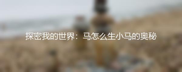 探密我的世界：马怎么生小马的奥秘